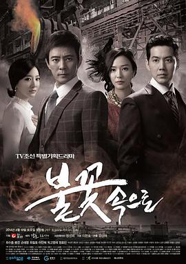 好的seo系统代理